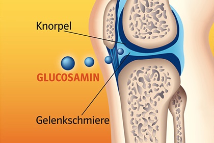 Glucosamine tự nhiên có trong các sụn khớp